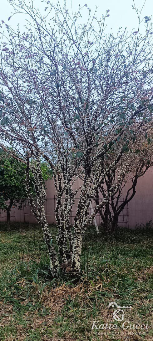 05b937d8-eb17-4720-a8c2-cff992d21454