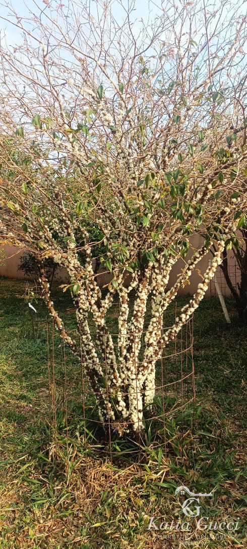 3998a7fc-c1ea-4b3d-8167-a0e199f1b7c1