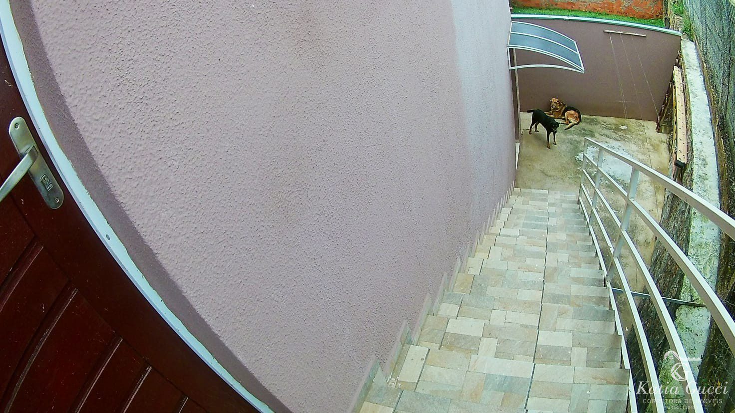 52e7fb36-8c14-4a46-b7ec-cd1091fcc24d