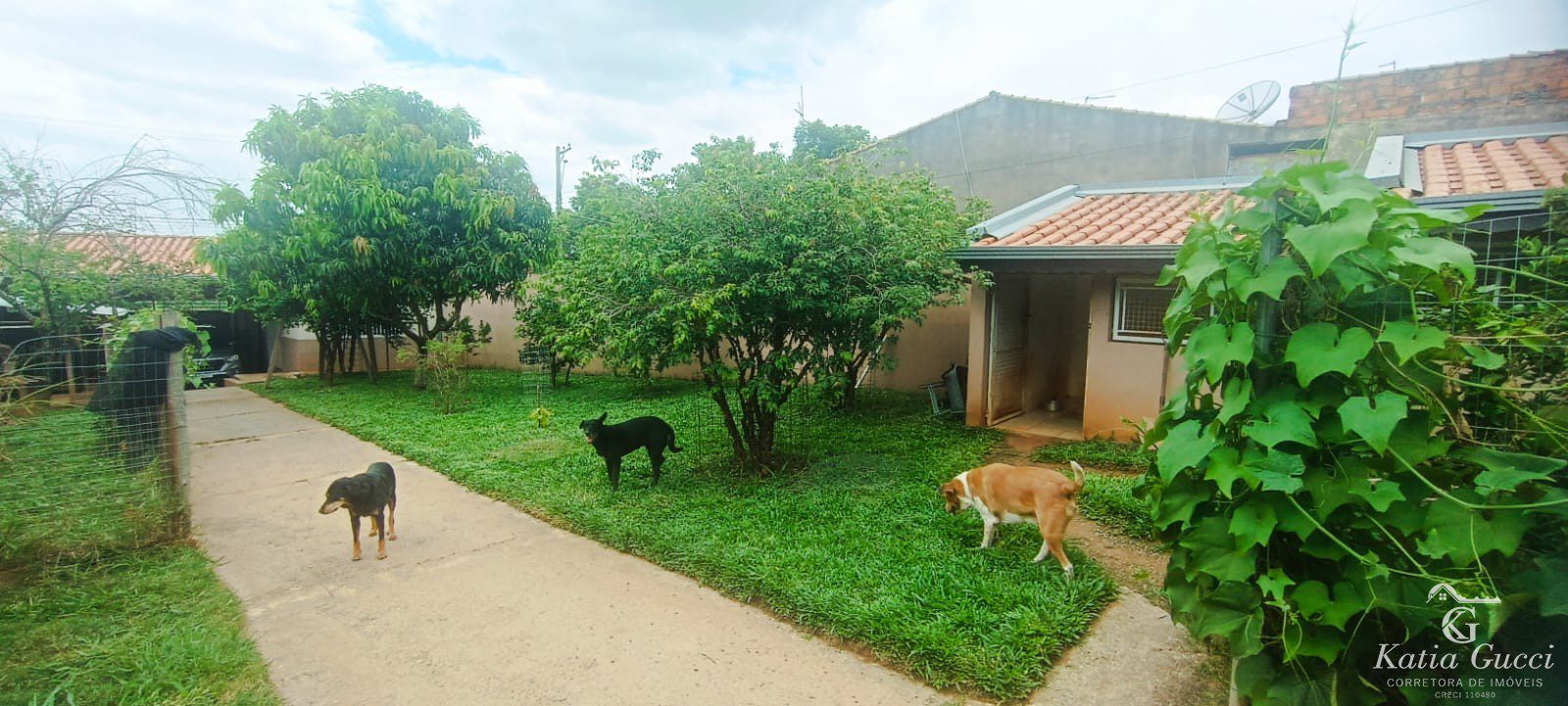 c6e7e8a7-96cd-4d53-88a0-5786d93fac49