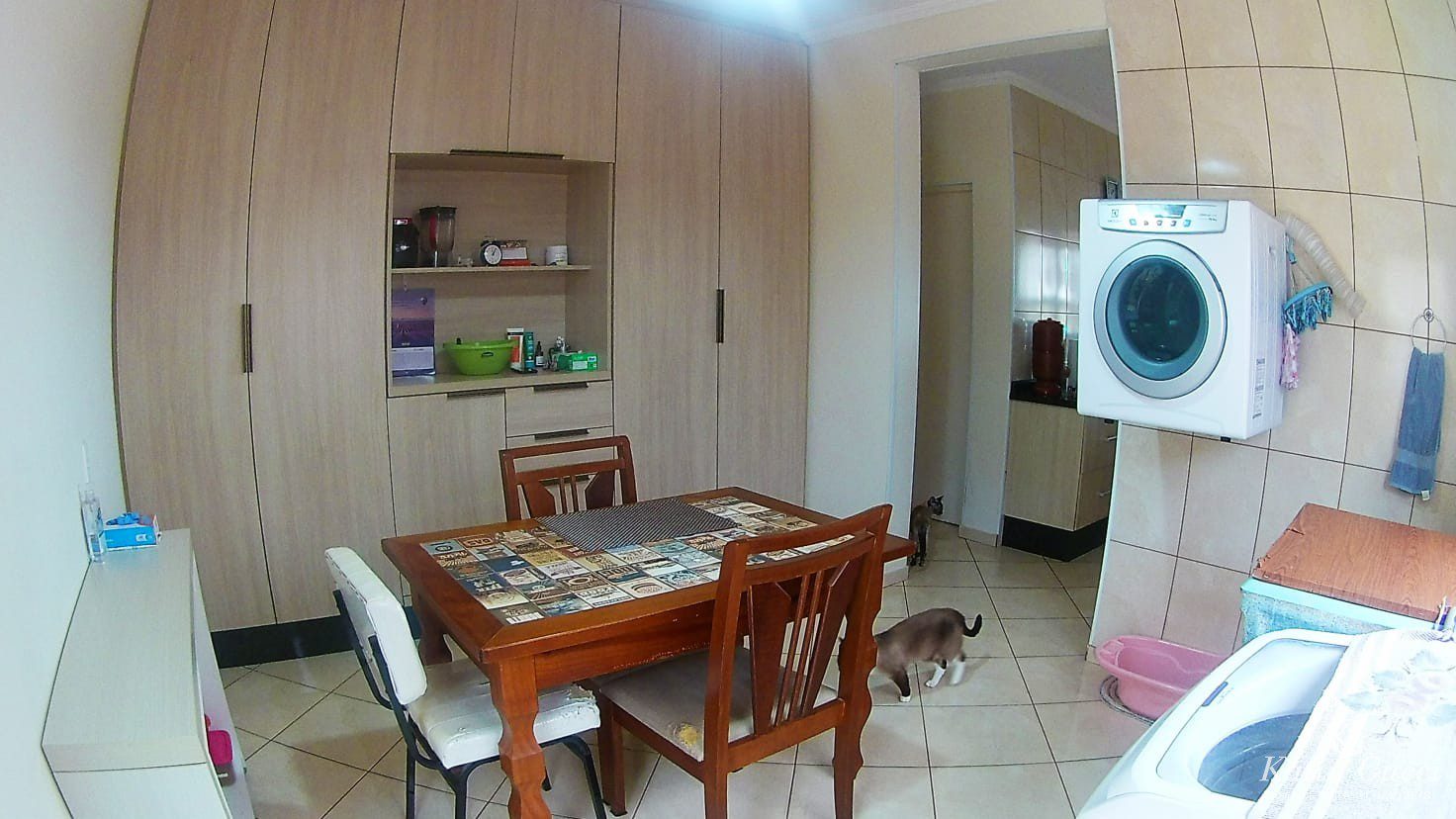 cf749036-ac87-445d-84c9-7c33c098141f