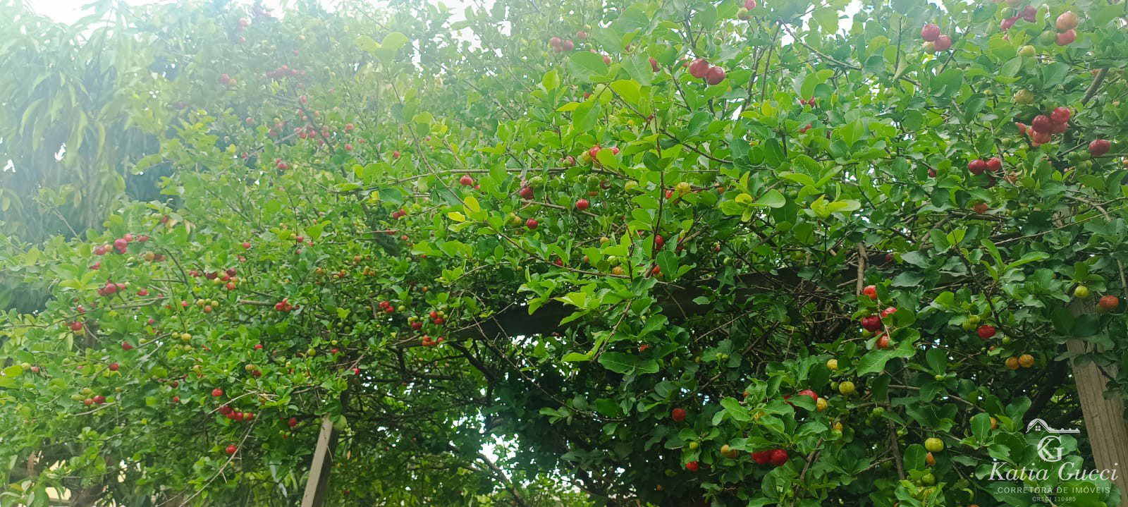 eacfb759-39b8-4c3d-a01d-e0f481f71b72